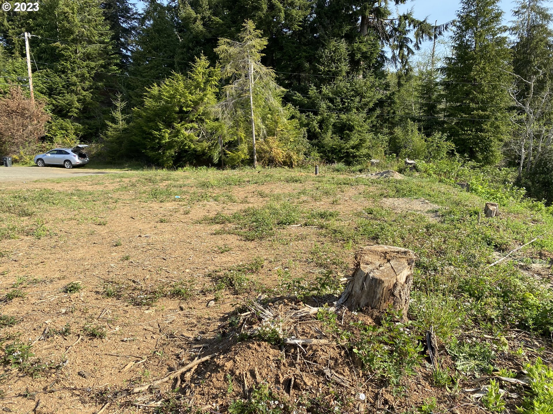 0 Isthmus Heights Road Coos Bay, OR 97420 - Photo 11 of 16 a view of a yard with trees