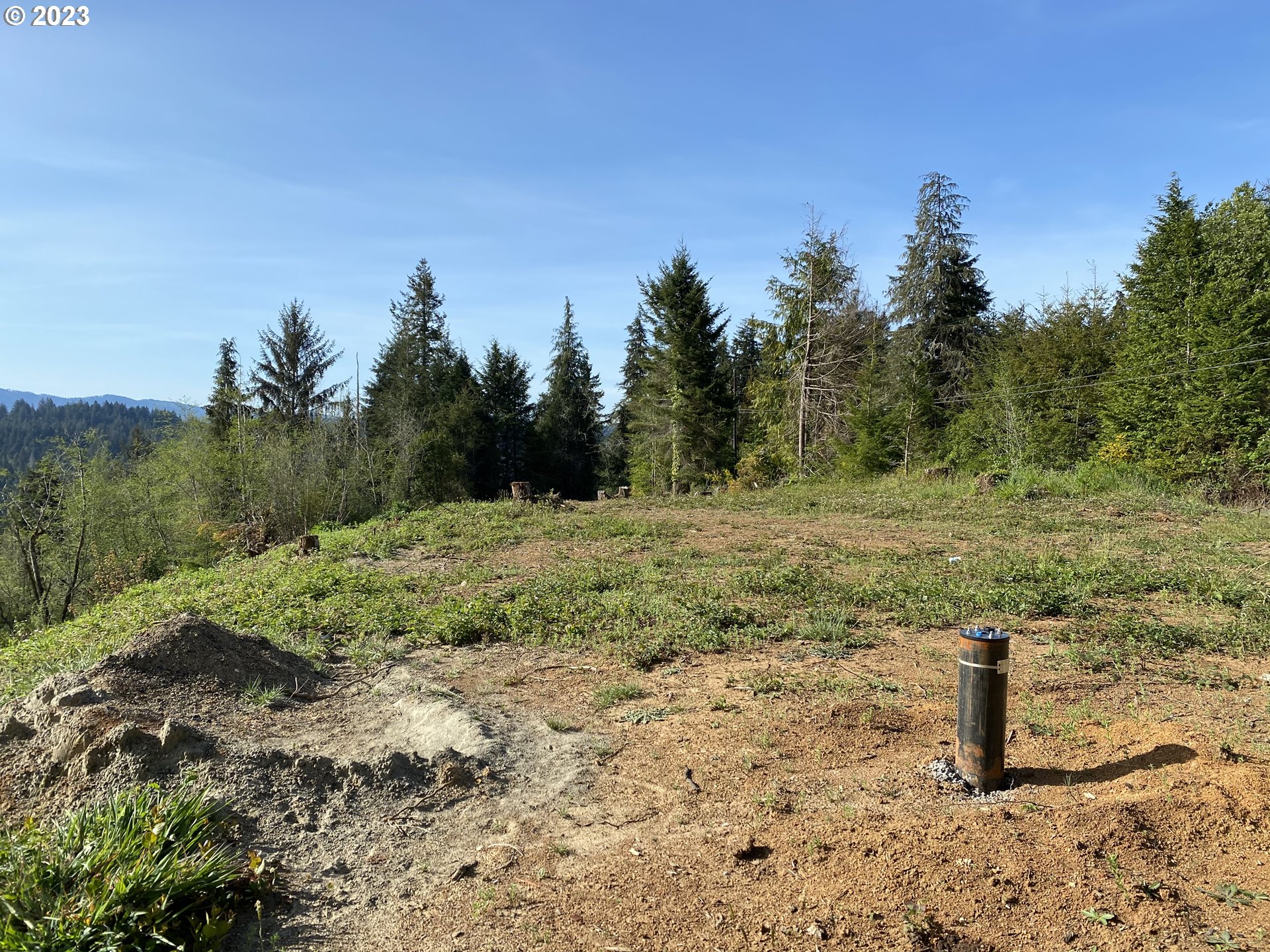 0 Isthmus Heights Road Coos Bay, OR 97420 - Photo 5 of 16 a view of a dry yard with trees