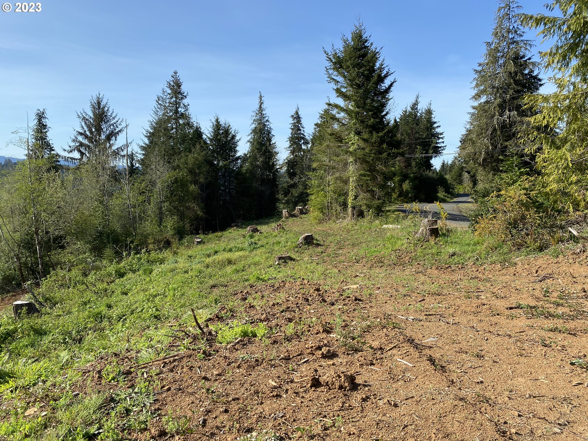 0 Isthmus Heights Road Coos Bay, OR 97420 - Photo 6 of 16 a view of a yard with a tree