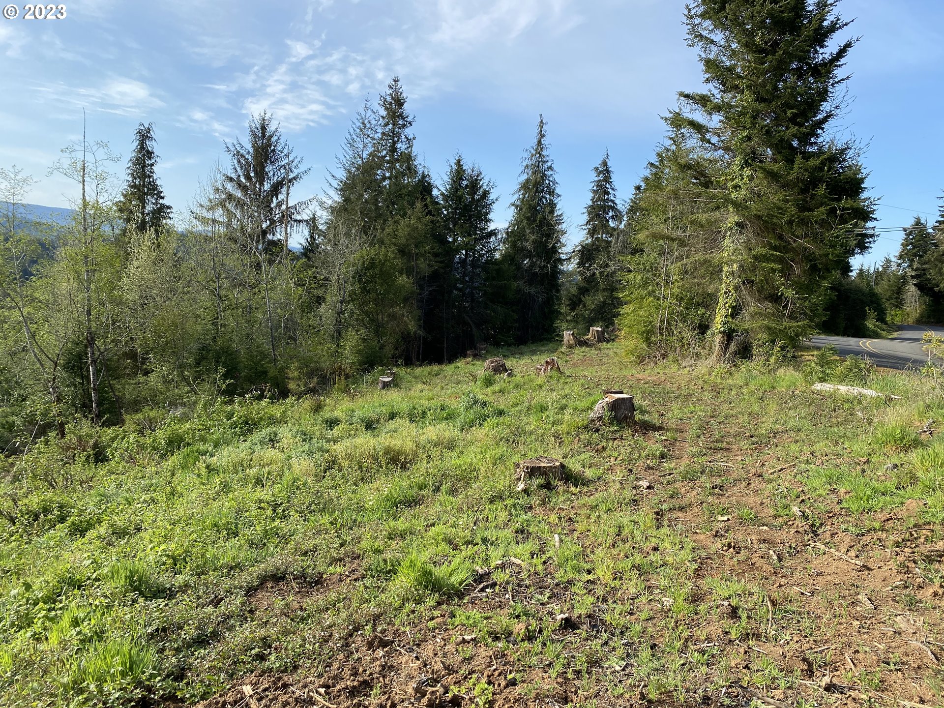 0 Isthmus Heights Road Coos Bay, OR 97420 - Photo 9 of 16 a backyard of a house with lots of green space