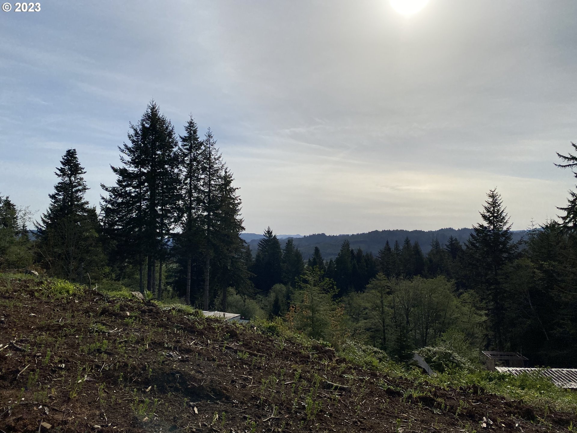 0 Isthmus Heights Road Coos Bay, OR 97420 - Photo 10 of 16 a view of a garden with trees