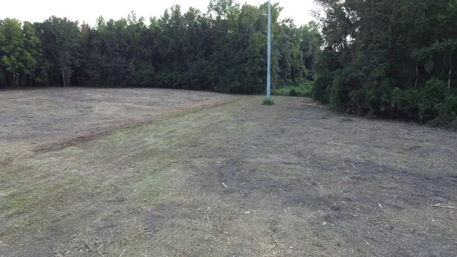 $395,000 | 0 Whittaker Parkway, Orangeburg, SC 29115