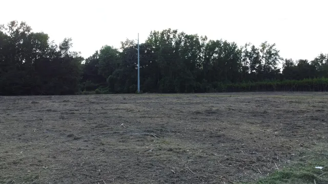 $395,000 | 0 Whittaker Parkway, Orangeburg, SC 29115