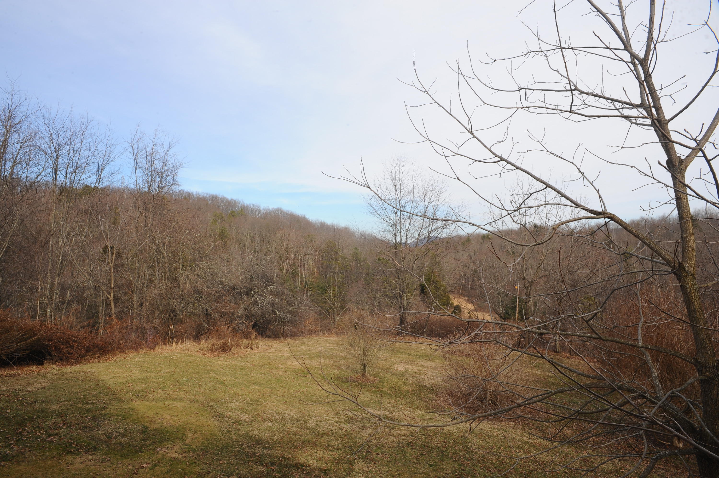 1101 Spring Valley Road Staffordsville, VA 24167 - Photo 36 of 47 DSC_6157.JPG