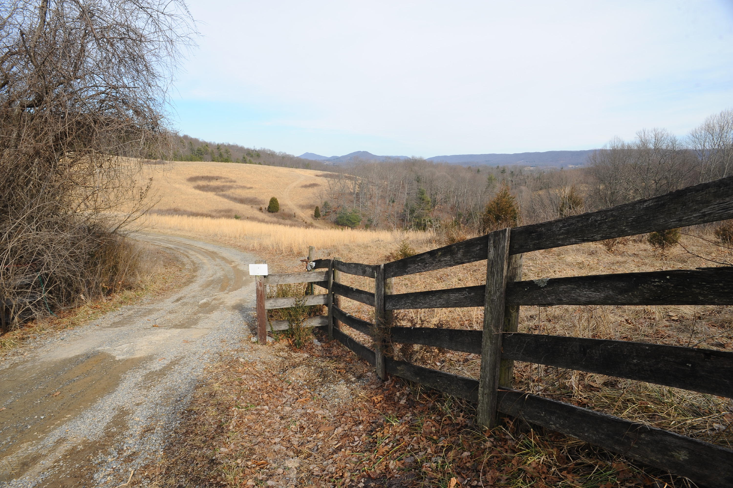 1101 Spring Valley Road Staffordsville, VA 24167 - Photo 39 of 47 DSC_6193.JPG