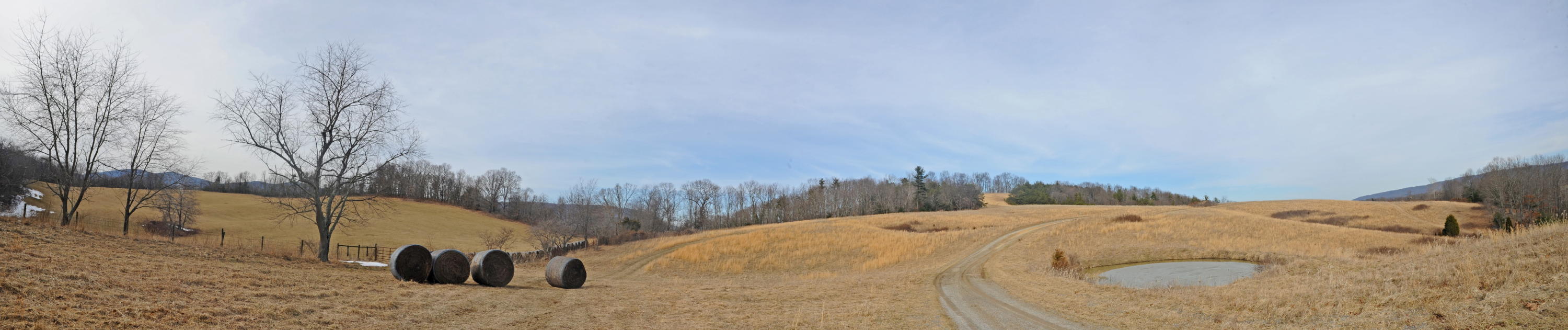 1101 Spring Valley Road Staffordsville, VA 24167 - Photo 40 of 47 2_panorama_panorama 2.jpg
