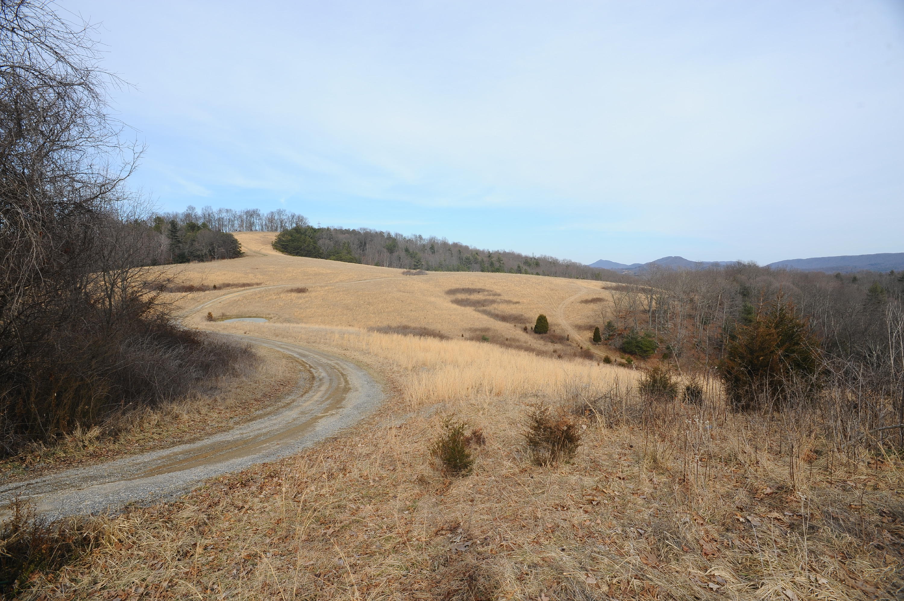 1101 Spring Valley Road Staffordsville, VA 24167 - Photo 5 of 47 3DSC_6204.JPG