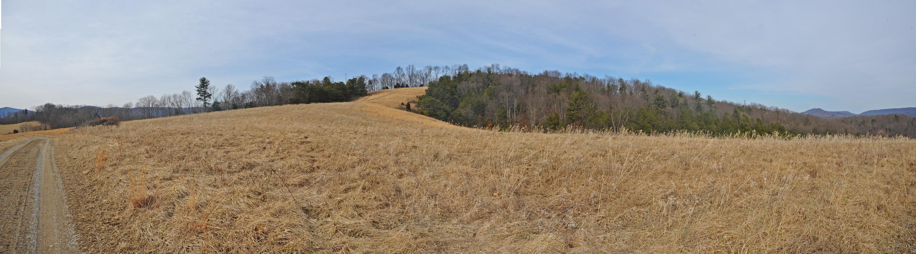 1101 Spring Valley Road Staffordsville, VA 24167 - Photo 6 of 47 41.jpg