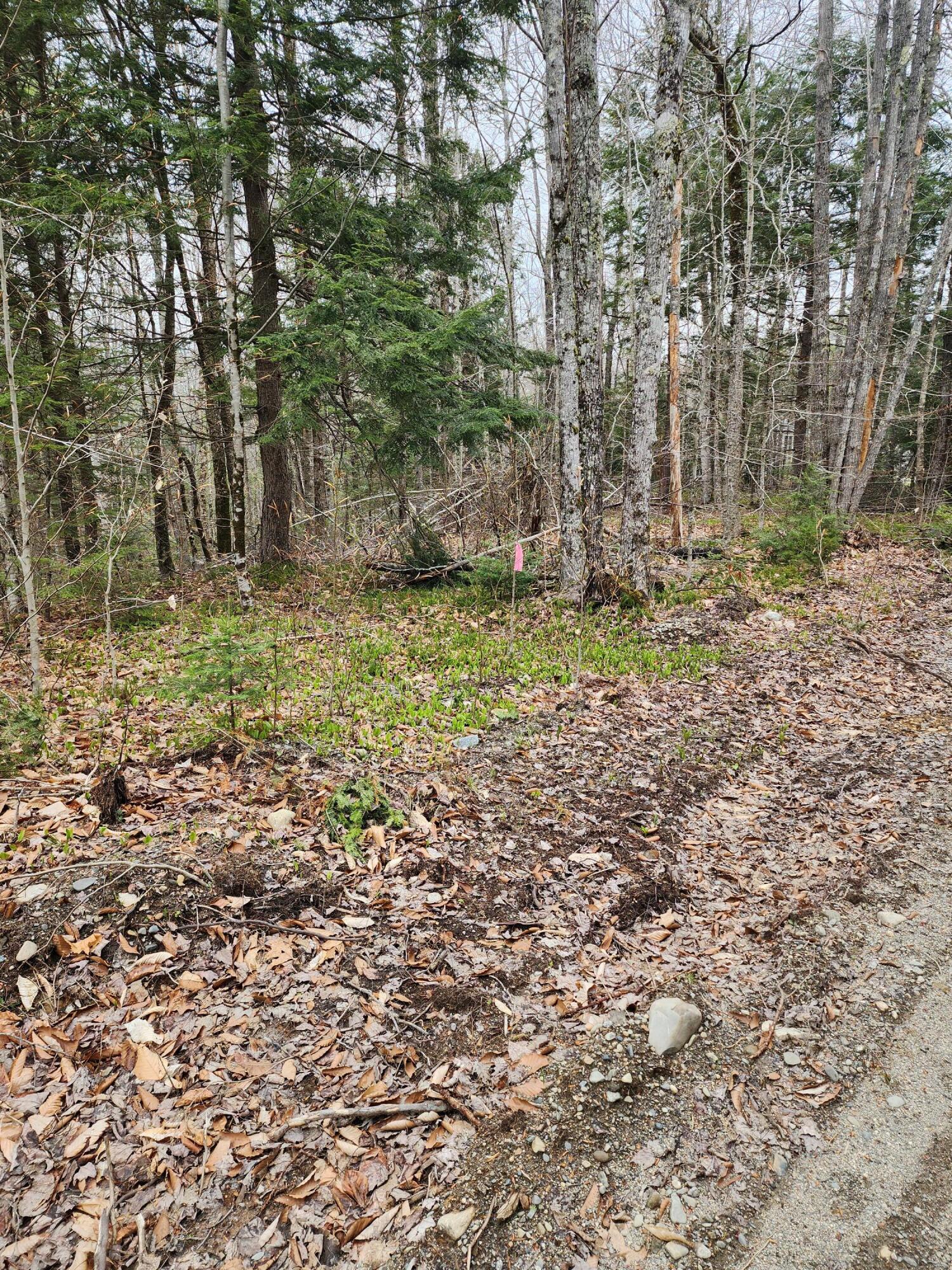 64 Round House Road Washington, ME 04574 - Photo 3 of 5 20230504_124818