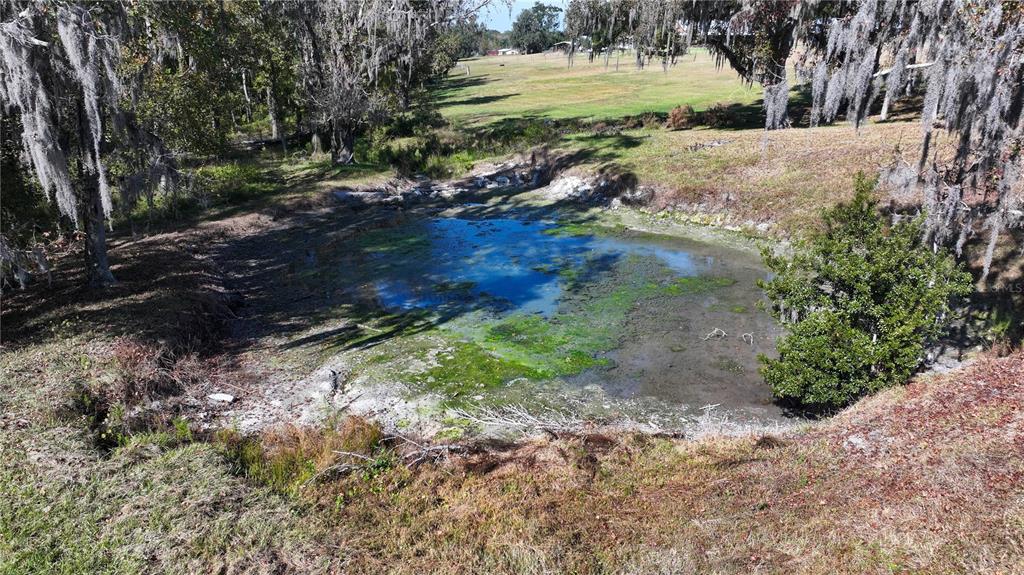 3182 Indian Ridge Place Lakeland, FL 33810 - Photo 5 of 45 a view of a pathway with a yard