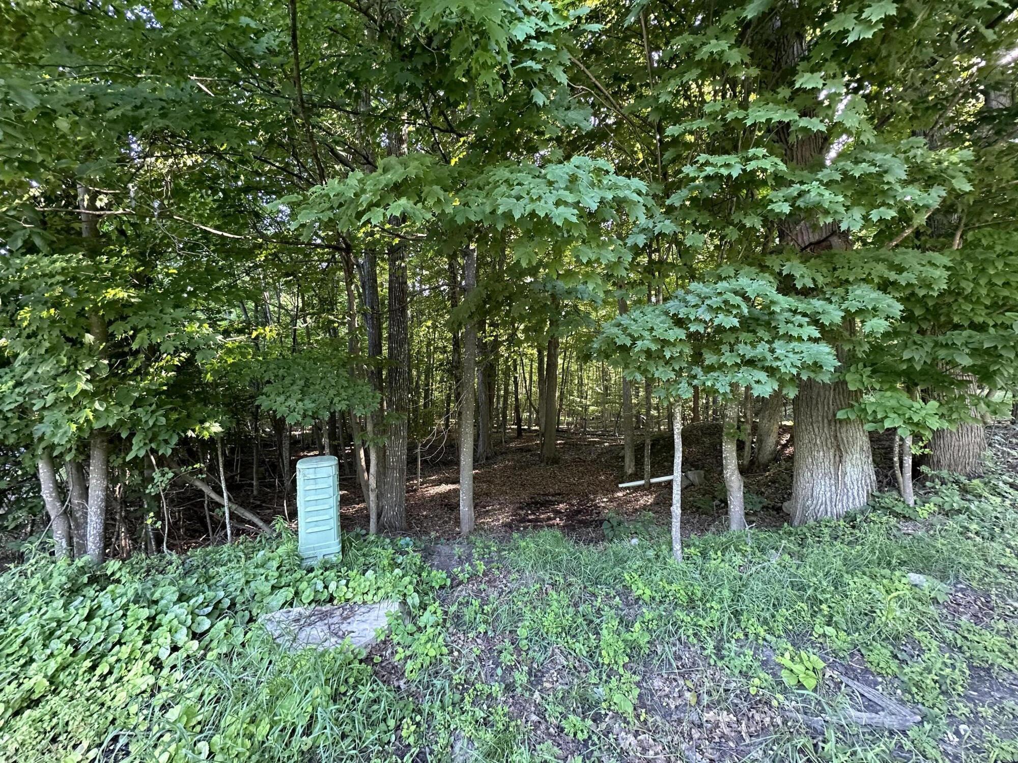 0 Trembleau Road Keeseville, NY 12944 - Photo 2 of 7 IMG_2658