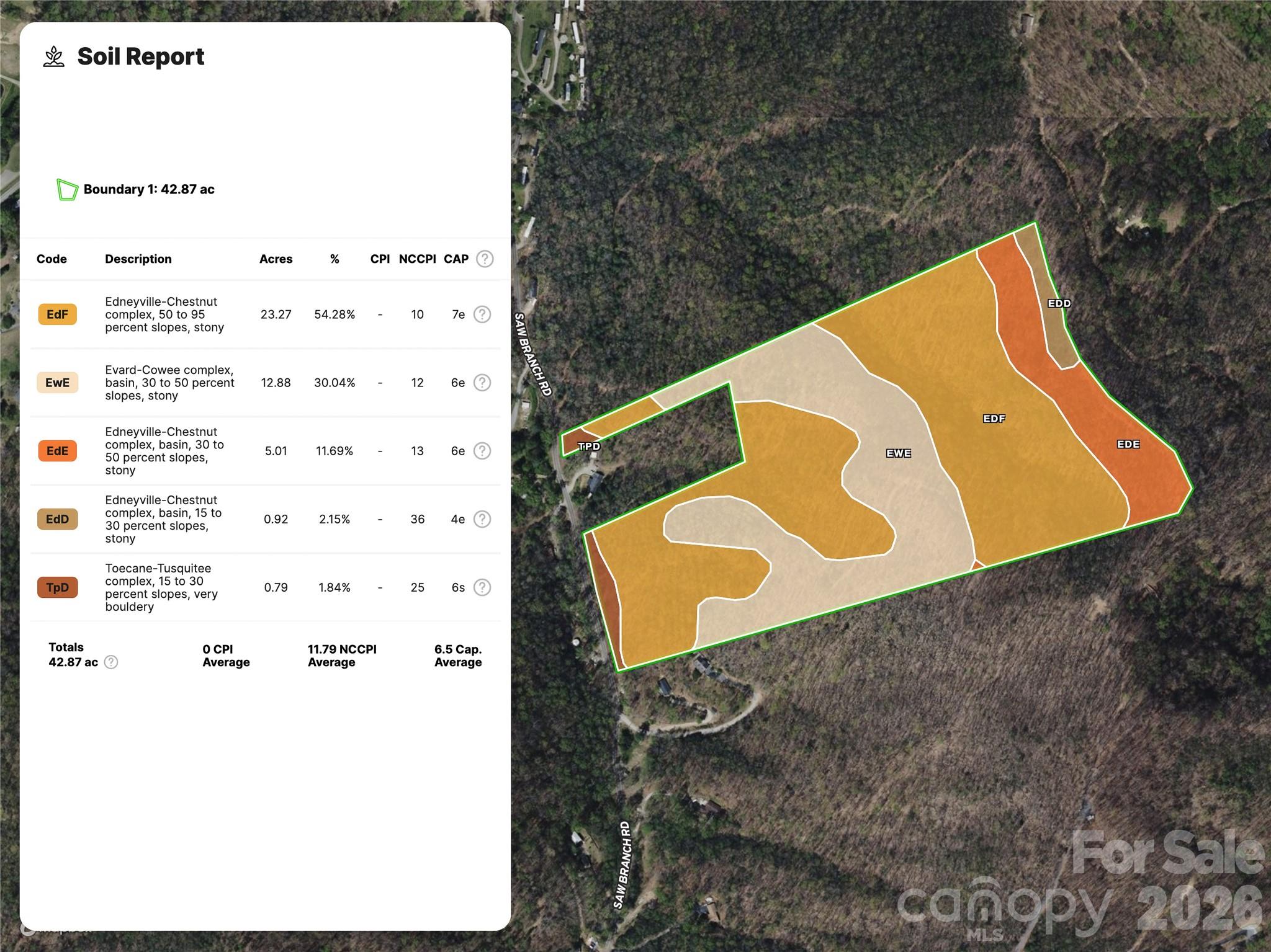 99999 Saw Branch Road Candler, NC 28715 - Photo 37 of 37 Gallery Image 37