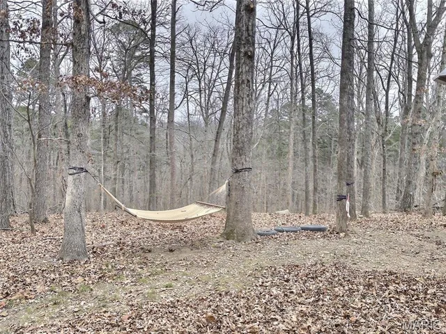 $140,000 | 168 Private Road, Greenville, MO 63944