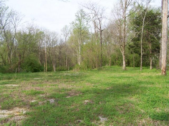 2 Frye Road Columbia, TN 38401 - Photo 4 of 10 Lot Looking North