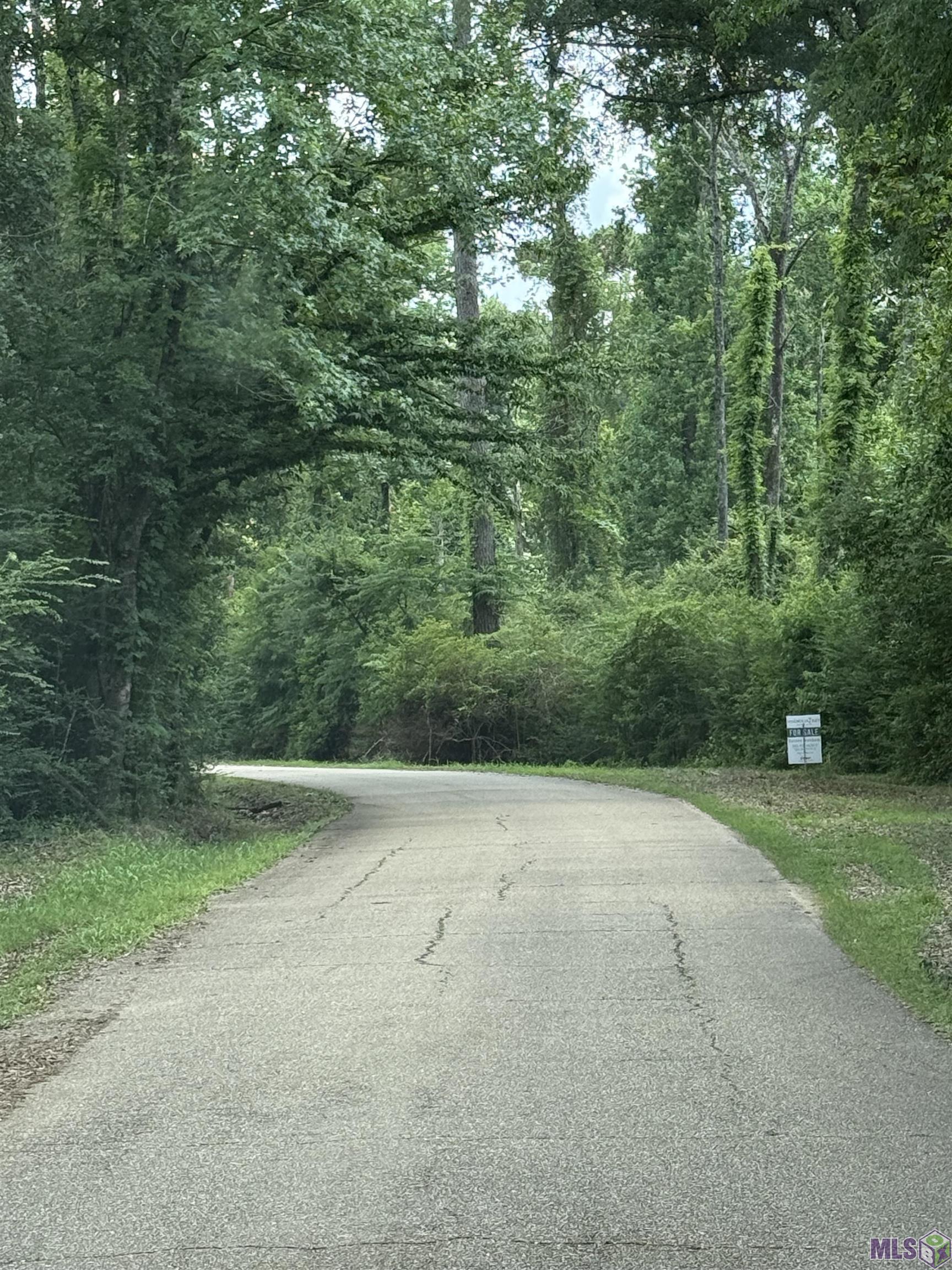 0 South Big Creek Road Amite, LA 70422 - Photo 3 of 7 Gallery Image 3