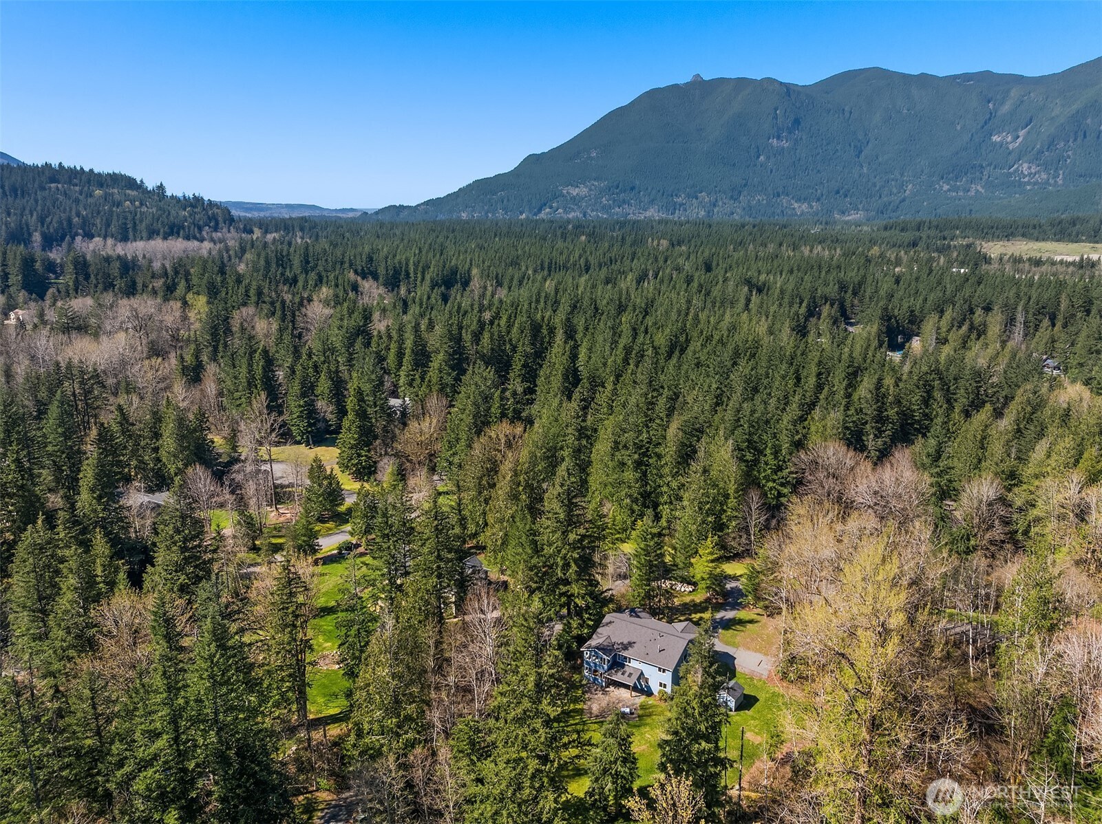 47419 Southeast 157th Place North Bend, WA 98045 - Photo 38 of 39 a view of a forest with a street