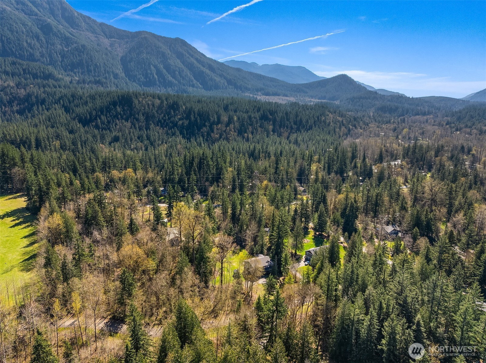 47419 Southeast 157th Place North Bend, WA 98045 - Photo 39 of 39 a view of a forest with mountains in the background