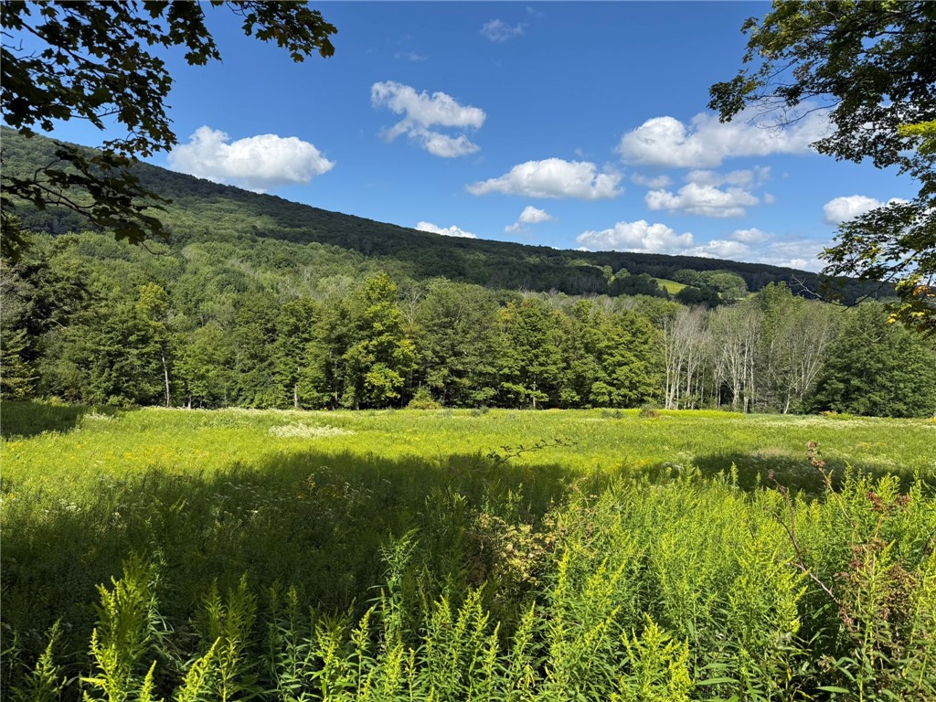 0 Lower Meeker Hollow Road Roxbury, NY 12474 - Photo 6 of 10 Gallery Image 6