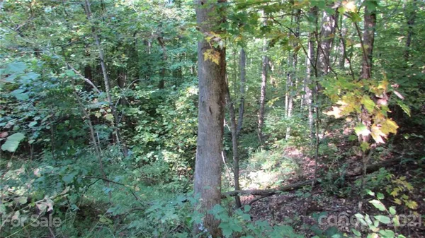 $55,500 | 19 Red Wolf Run, Unit NONE, Mars Hill, NC 28754