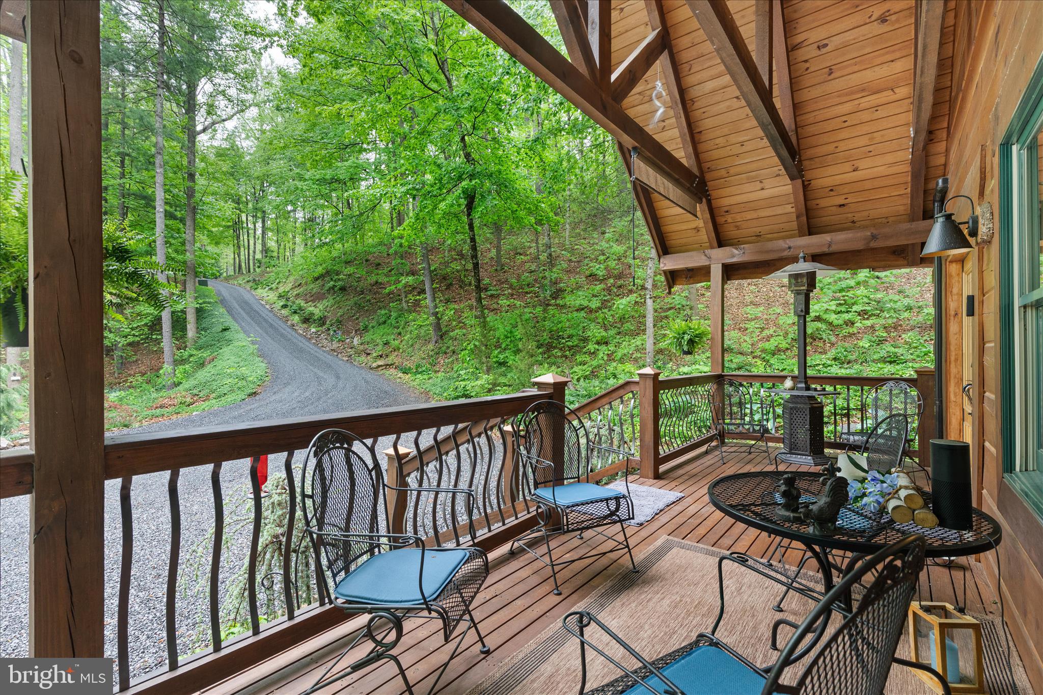 13581 Ford Hill Road Rio, WV 26755 - Photo 27 of 70 2E6A1089_13581 Ford Hill Rd - Absolute Altitude -