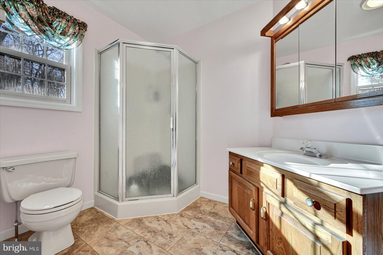 18 Westview Drive Ephrata, PA 17522 - Photo 27 of 38 master bath with stand alone shower