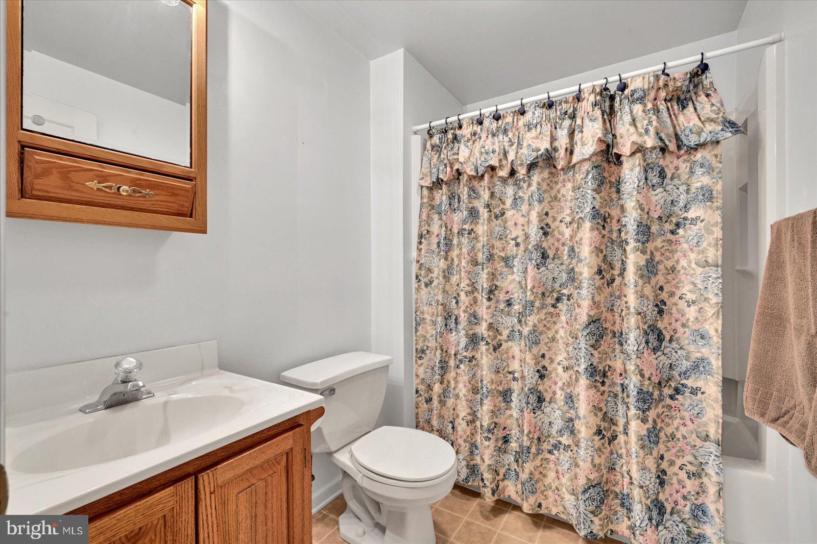 18 Westview Drive Ephrata, PA 17522 - Photo 38 of 38 full bath lower level