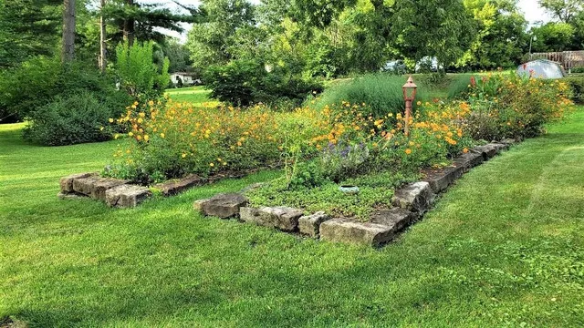 a view of a backyard with garden