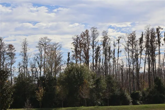 $2,200 | 16310 Bird Of Paradise Avenue, Clermont, FL 34714