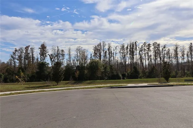 $2,200 | 16310 Bird Of Paradise Avenue, Clermont, FL 34714