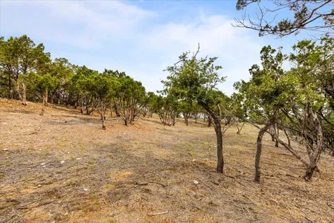 a view of road and trees
