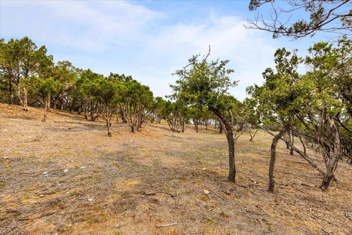 4519 Crawford Road Spicewood, TX 78669 - Photo 5 of 13