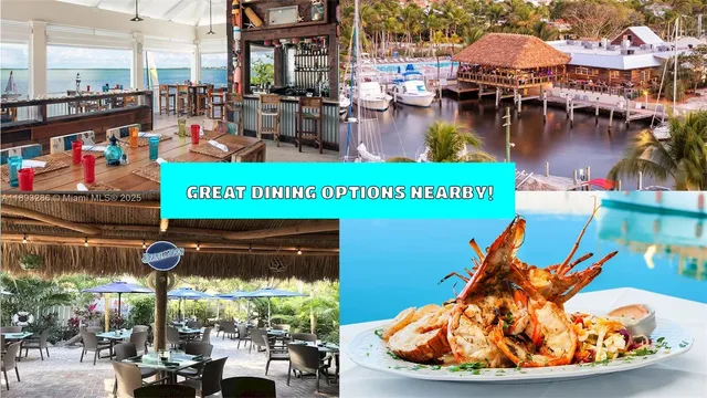 a view of a chairs and table in a backyard