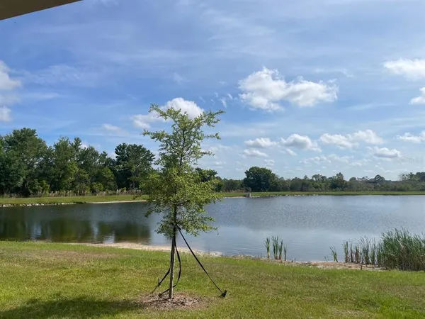 a lake view with a lake view