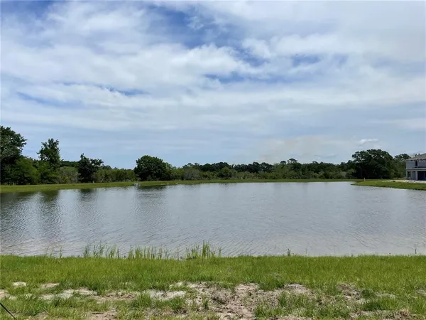 a view of a lake from a yard