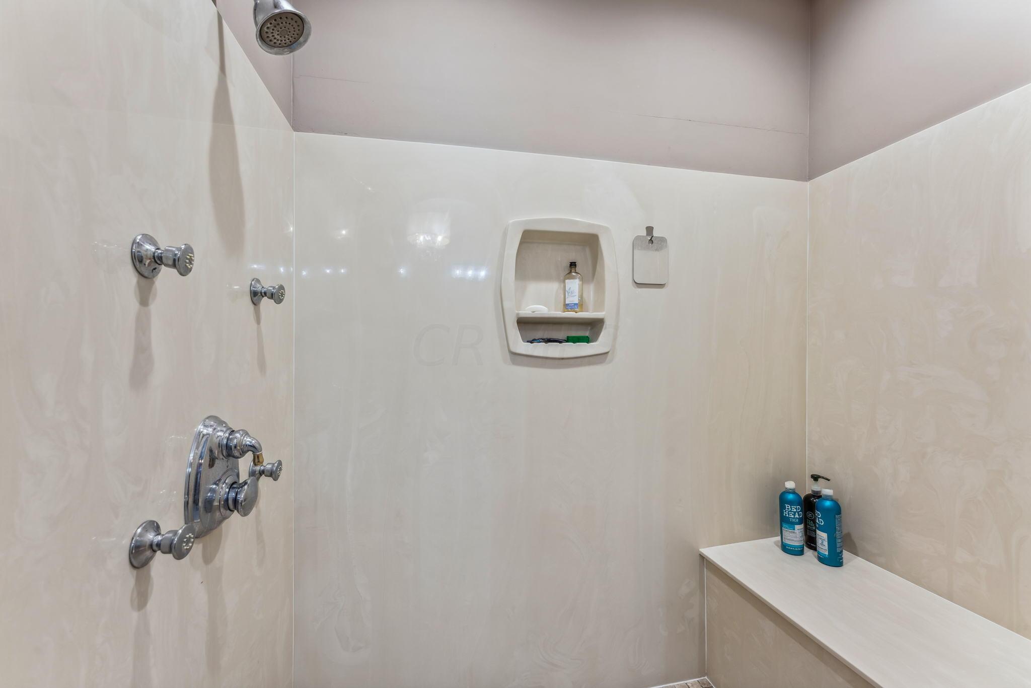 8242 Dustin Road Galena, OH 43021 - Photo 40 of 111 Master Shower
