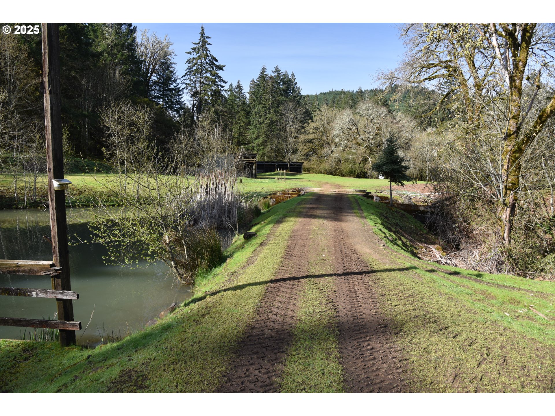 3890 Mill Creek Road Dallas, OR 97338 - Photo 14 of 36 a view of a backyard