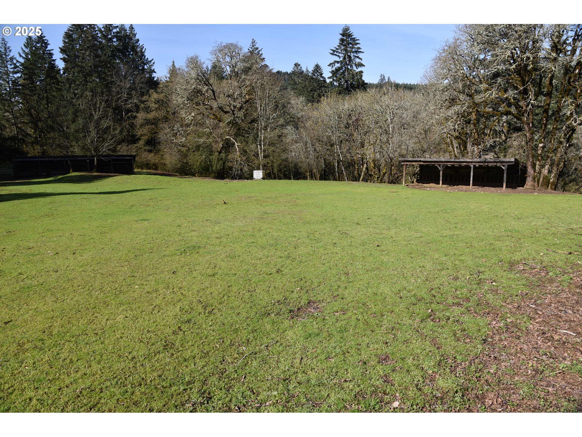 3890 Mill Creek Road Dallas, OR 97338 - Photo 16 of 36 a view of a garden