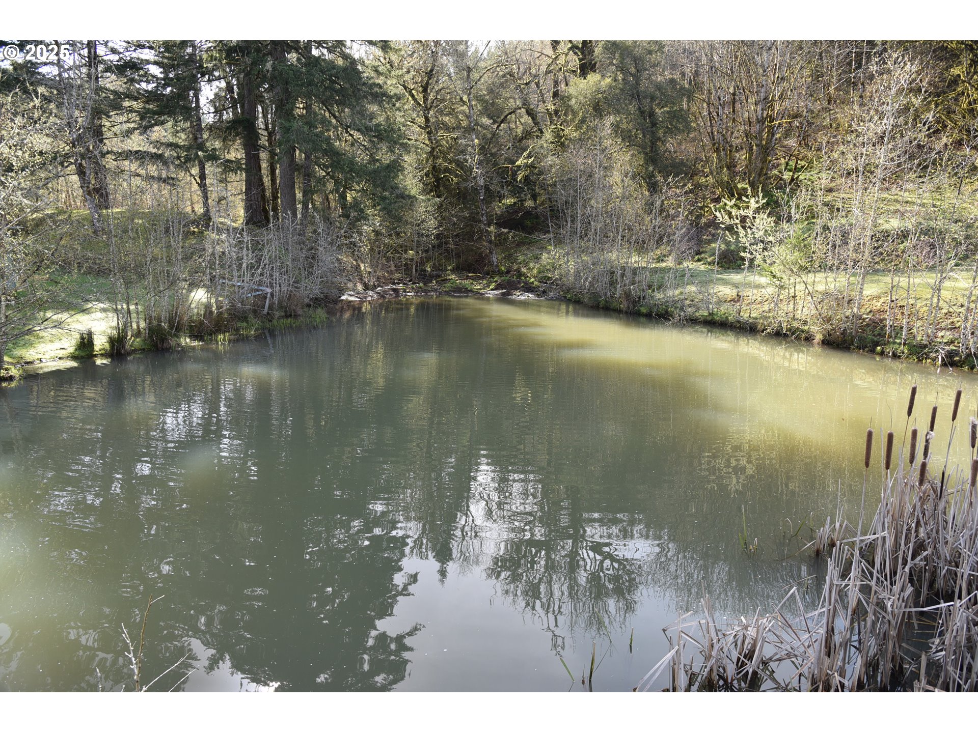 3890 Mill Creek Road Dallas, OR 97338 - Photo 17 of 36 a view of lake