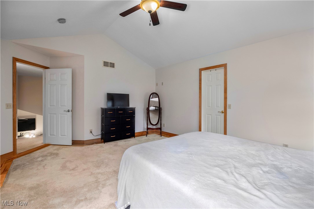 177 Mishler Road Mogadore, OH 44260 - Photo 24 of 50 Master bedroom featuring vaulted ceiling, walk in closet, lighter hardwood flooring border around carpeting, upper level