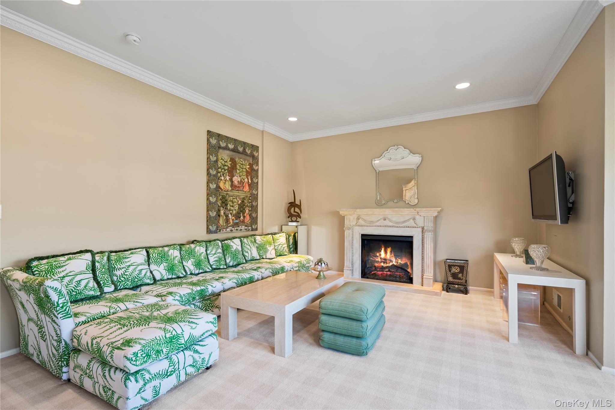 30 Sagamore Drive Plainview, NY 11803 - Photo 22 of 33 a living room with furniture and a fireplace