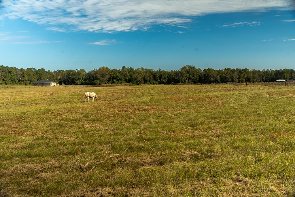 0 J B J B Jackson Road Webb, AL 36376 - Photo 28 of 38