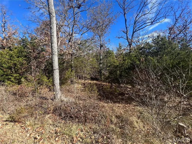 $4,750 | 0 Rue Riviera, Bonne Terre, MO 63628