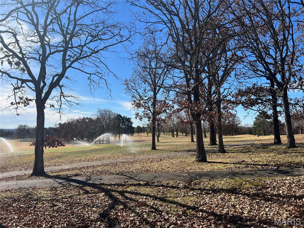 0 Rue Riviera Bonne Terre, MO 63628 - Photo 20 of 21
