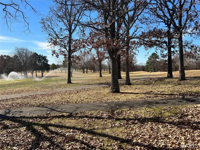 $4,750 | 0 Rue Riviera, Bonne Terre, MO 63628