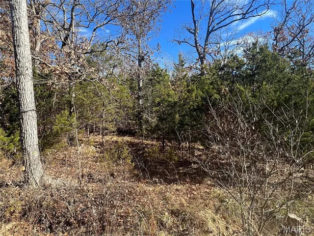 $4,750 | 0 Rue Riviera, Bonne Terre, MO 63628