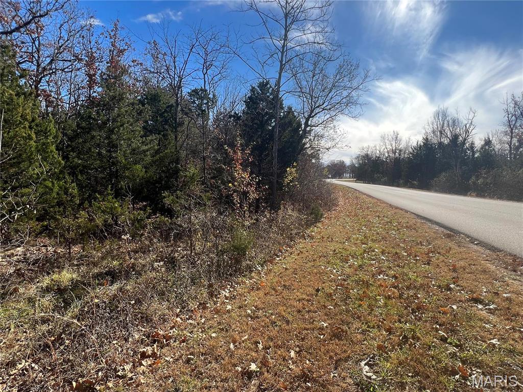 0 Rue Riviera Bonne Terre, MO 63628 - Photo 4 of 21