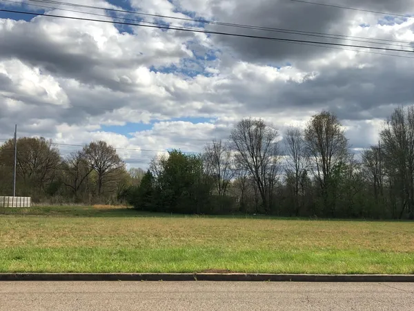 a view of a yard