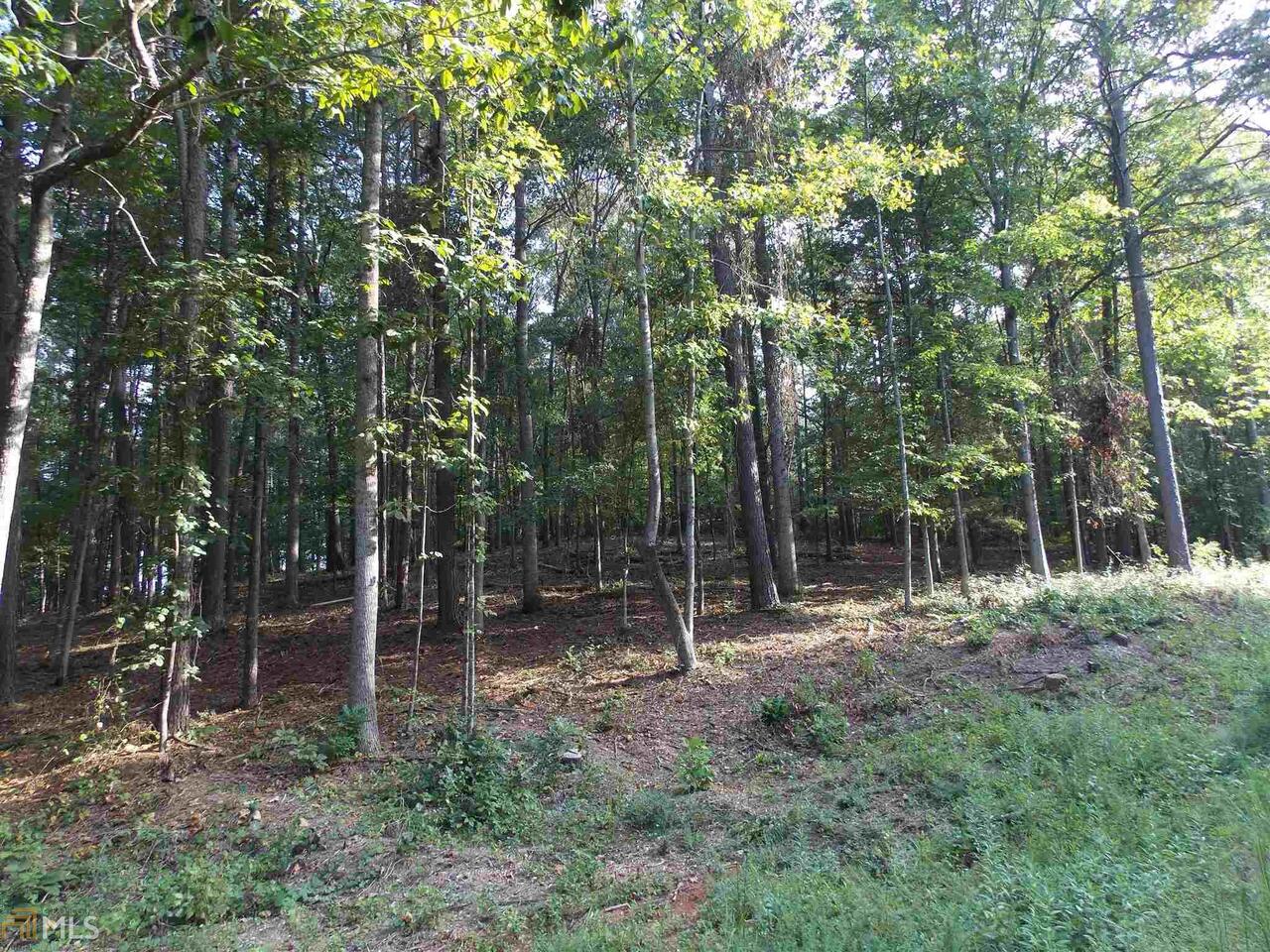 0 Brook Hollow Lake Road, Unit 6 Cumming, GA 30028 - Photo 1 of 1 Gallery Image 1
