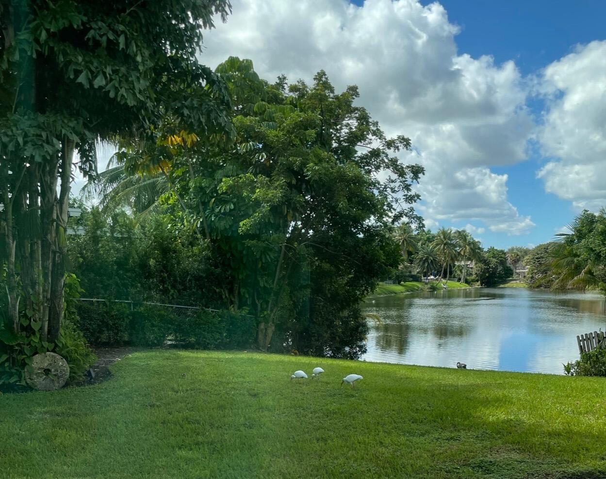 299 Northwest 10th Court Boca Raton, FL 33486 - Photo 37 of 43 Lake_BIRDS