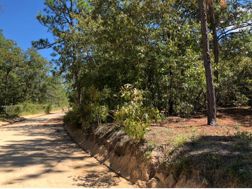 0 Nickeltop Road Windsor, SC 29856 - Photo 1 of 4 Main View